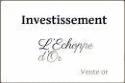 Vente de lingots et lingotins placement et investissement Marseille 13