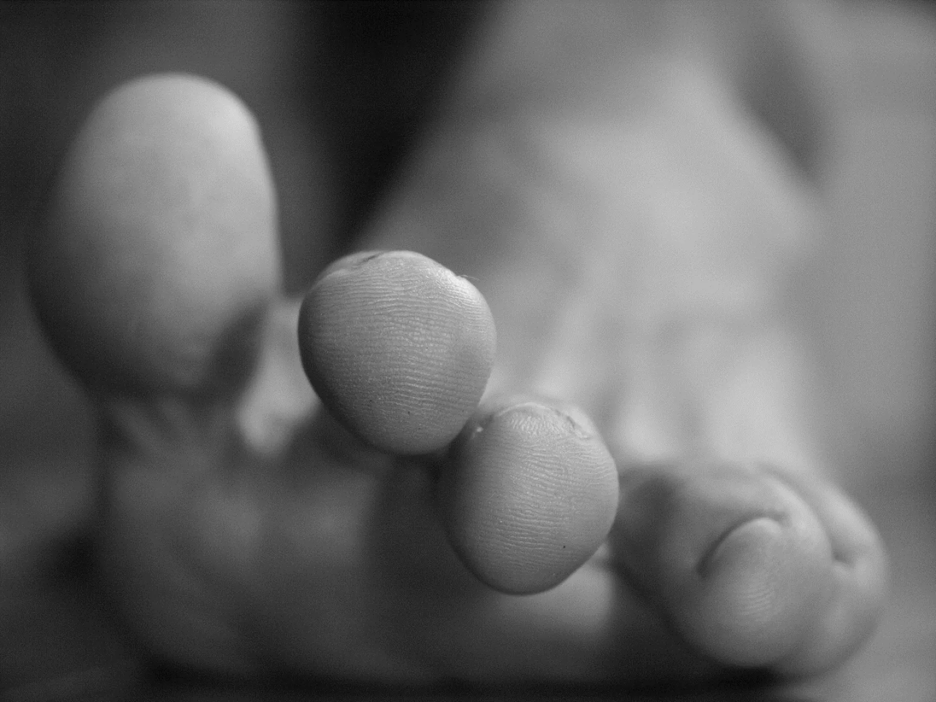 Trouver un podo-orthèsiste en Normandie, 76, 14, 27, 50, 61