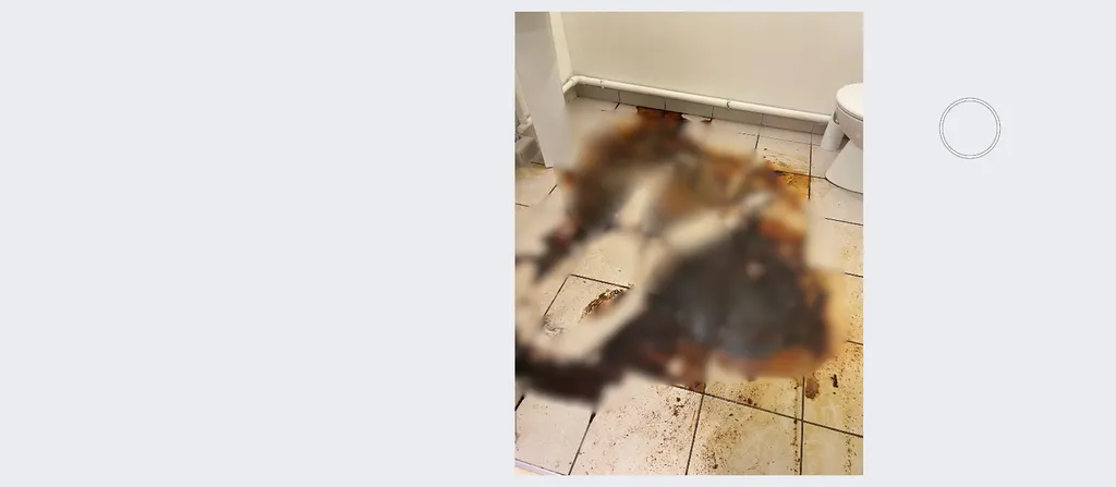 Avant notre intervention