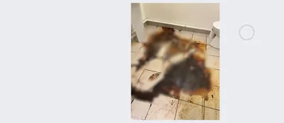 Avant notre intervention