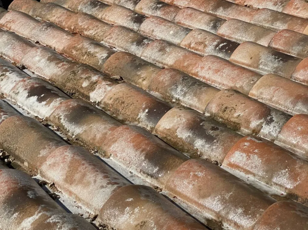 mise en place anti-mousse sur tuile sur istres