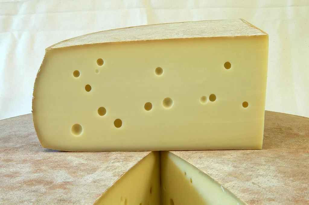 Gruyère IGP BIO médaille d'or 2024 Concours international de Lyon