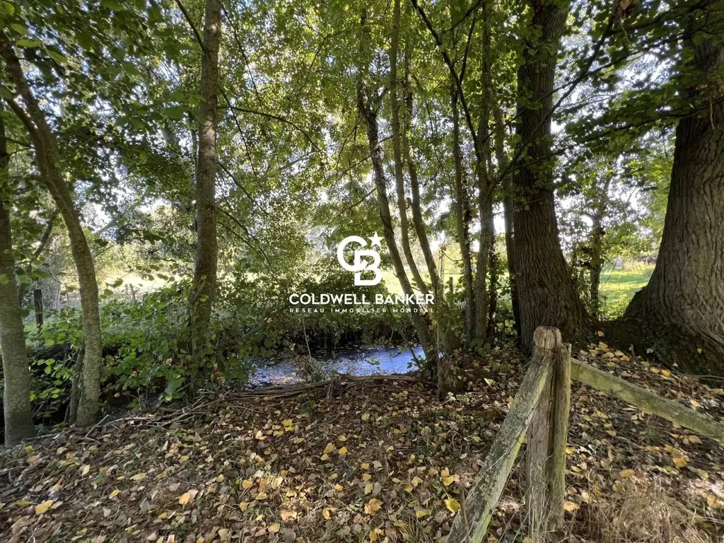 maison ancienne avec du charme à vendre en sarthe proche du mans avec parc et mare