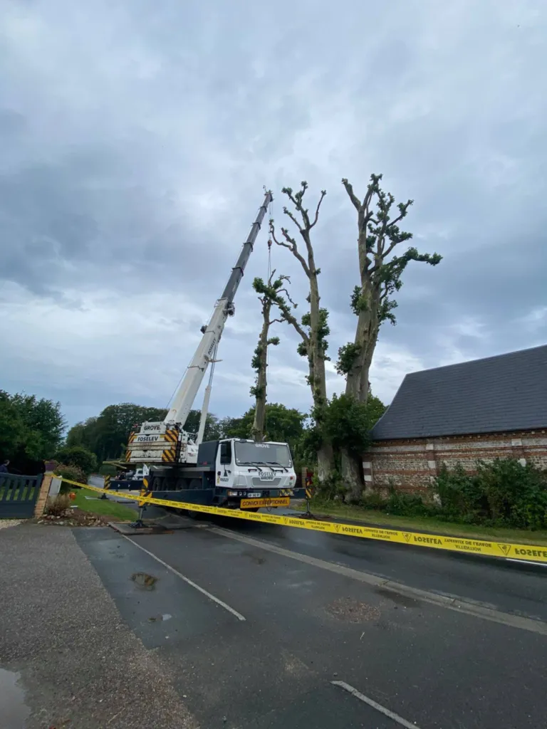 Abattage en démontage d'arbres dangereux à l'aide d'une grue proche de Fécamp 76