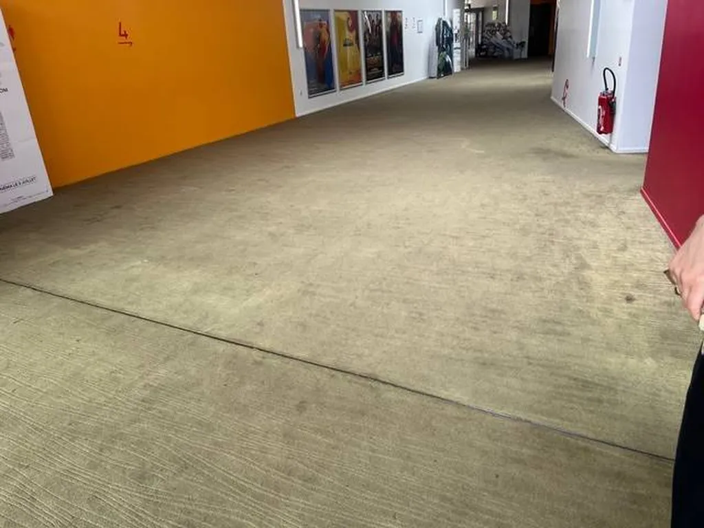 Rénovation du Cinéma 