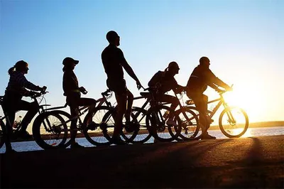 Location de vélo pour entreprise à Lyon 7 pour la via rhona