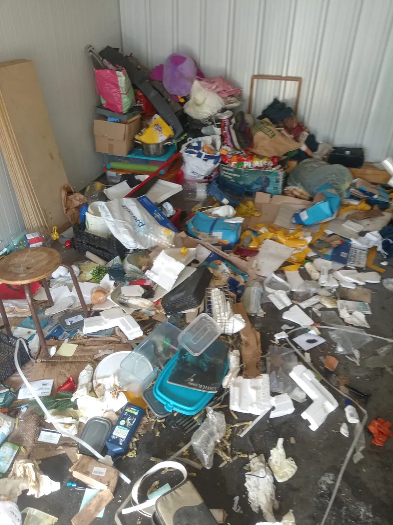 Spécialiste du nettoyage et désencombrement syndrome de Diogène à Wissembourg en Alsace : intervention discrète et respectueuse pour remise en état de logements insalubres et très encombrés