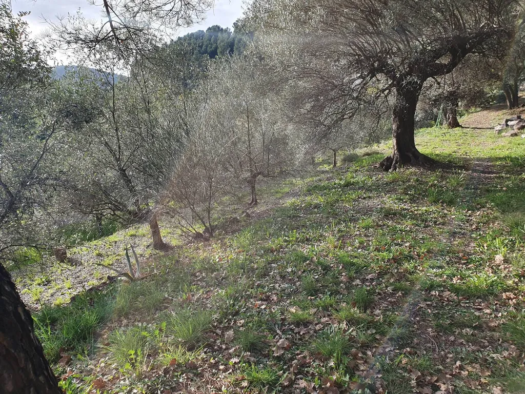 magnifique bien dans le Var