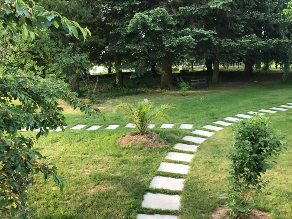 Pas japonais en pierre naturelle : dalles décoratives pour cheminement et aménagement du jardin