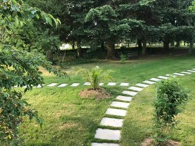 Pas japonais en pierre naturelle : dalles décoratives pour cheminement et aménagement du jardin