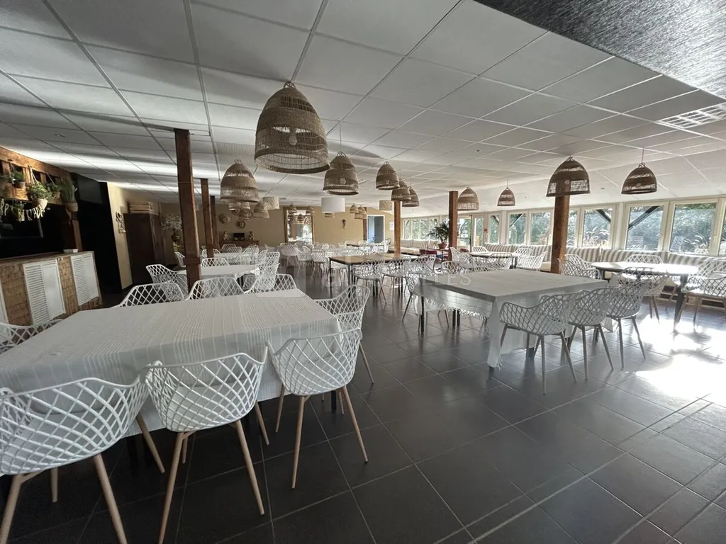 Les Roches, un lieu de rencontres et de partage