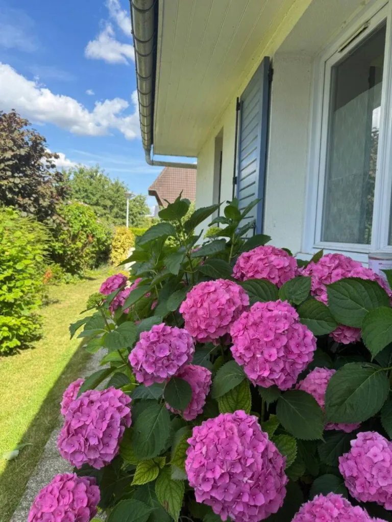 Notre zone d'activité pour ce serviceTrouver une petite maison T2 avec jardin à louer