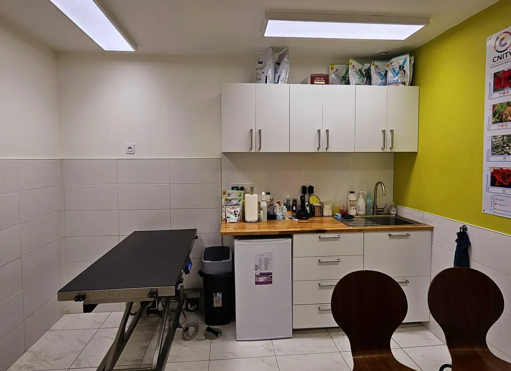 Bienvenue à la Clinique Vétérinaire d'Endoume !