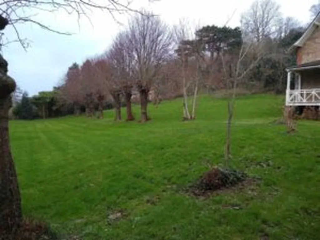 Taille de 40 tilleuls en tête de chat à Vaucotte (76111)