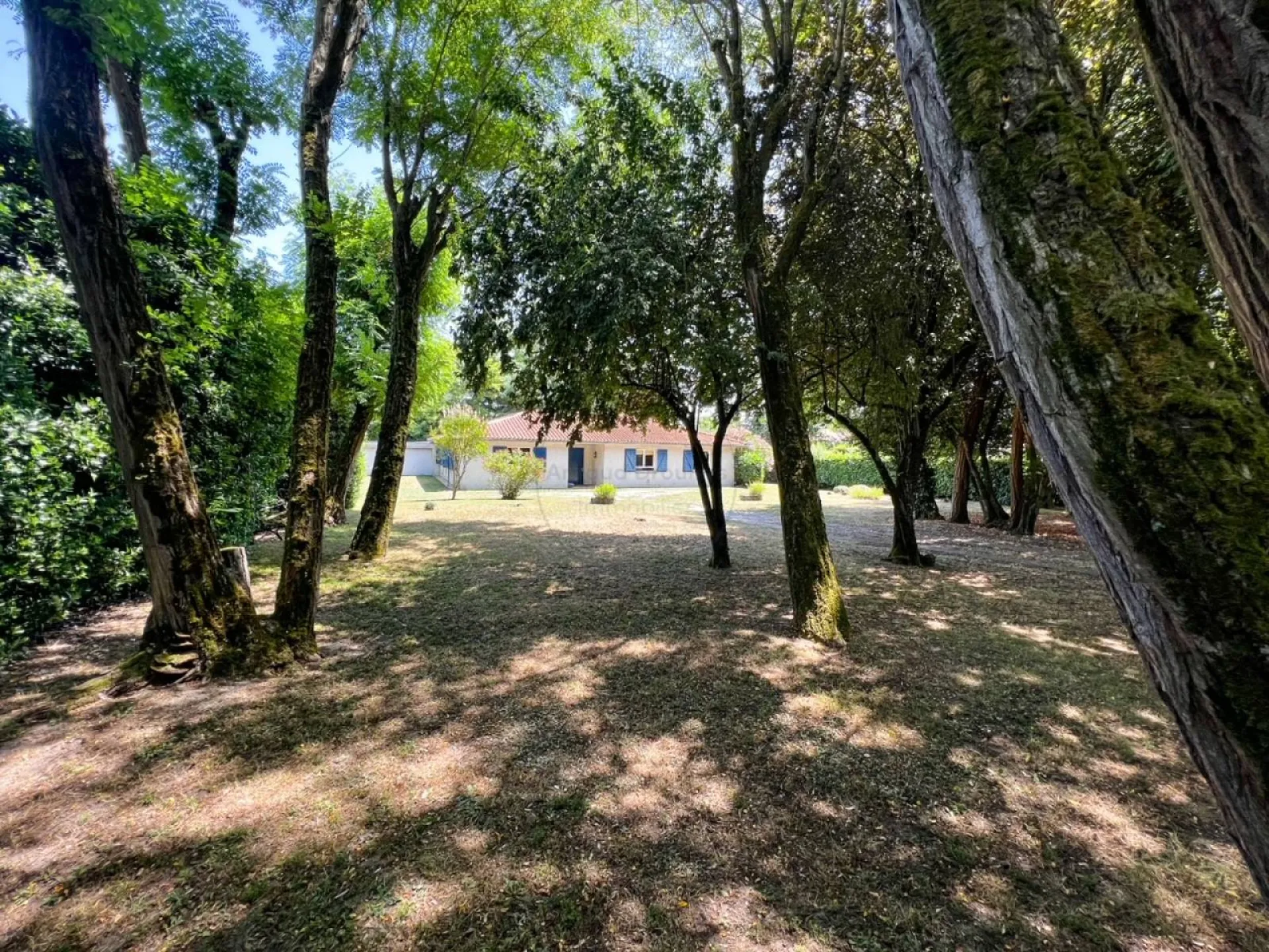 Grande maison avec grand terrain à acheter à Bruges