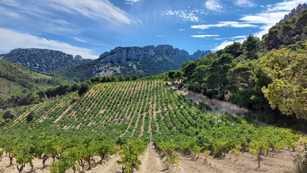 Notaire pour vente et achat d'un domaine viticole en Provence