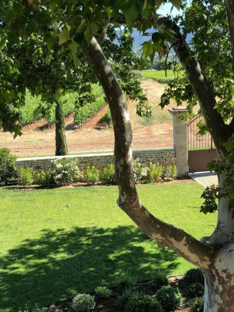 Une renaissance pour ce vieux mas endormi.