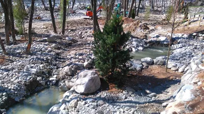 Bassin naturel avec plantation réalisé à St Martin Vésubie