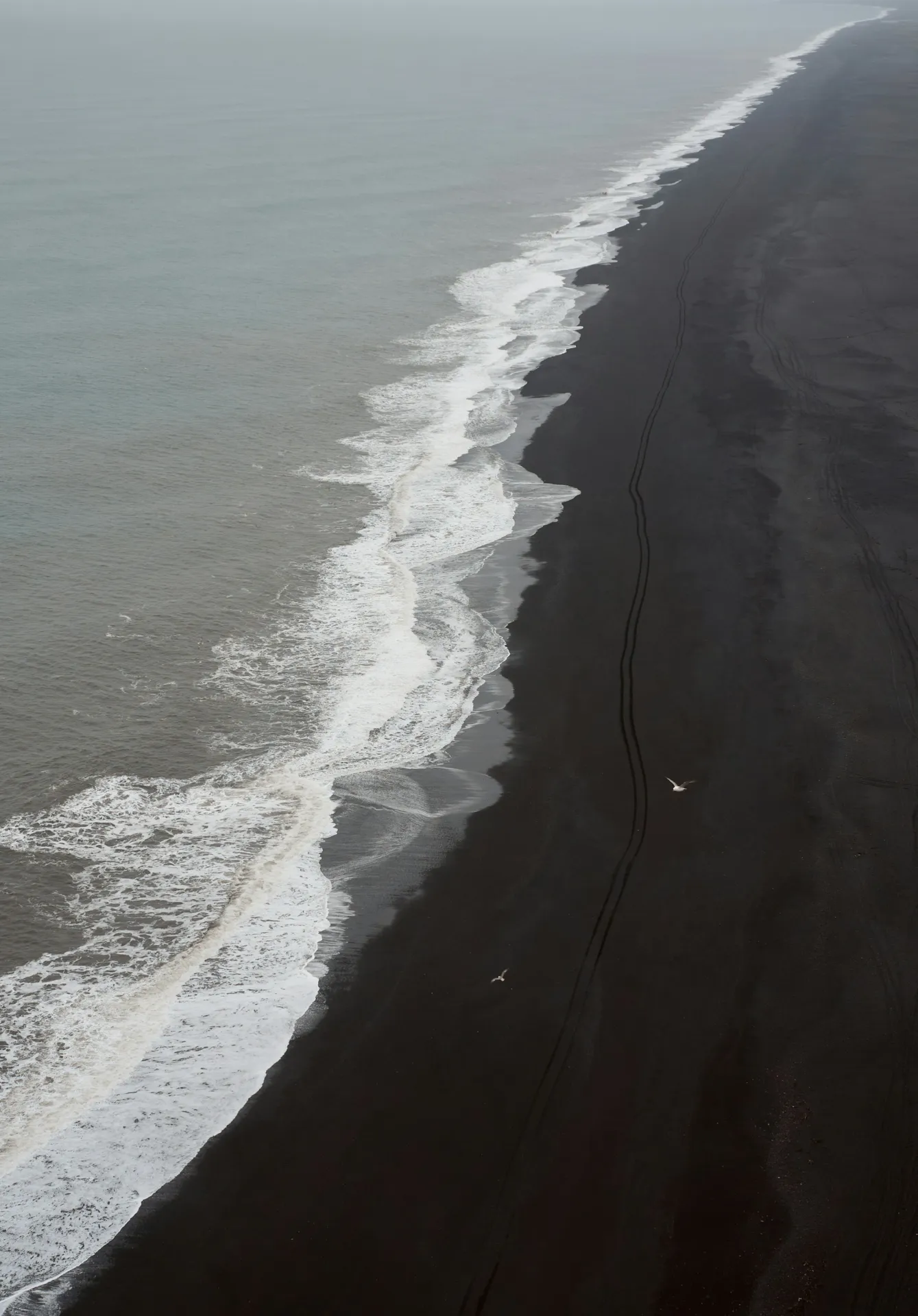 Pollution Marine : La Défense Stratégique des Auteurs de Rejets Illicites en Méditerranée devant le Tribunal aux Affaires Maritimes (infractions pénales maritimes)