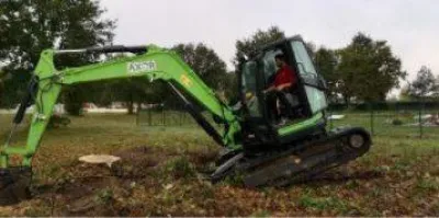 dessouchage d'un arbre sur le bassin d'arcachon 