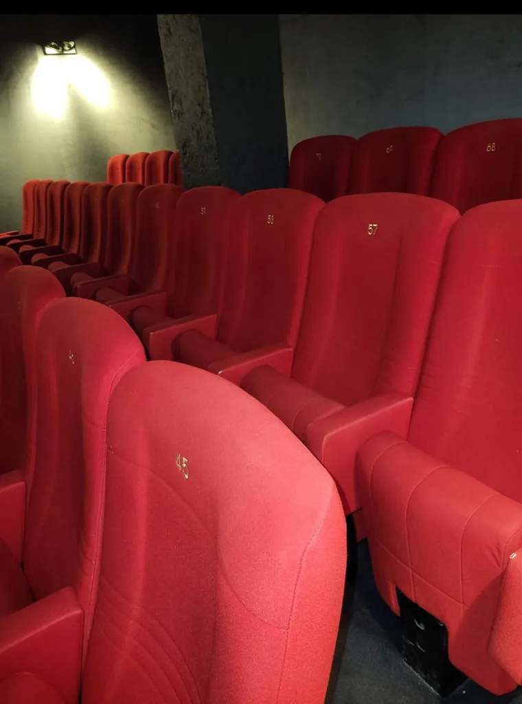 Cinéma et salles de spectacle exposés aux infestation de punaise de lit à Paris