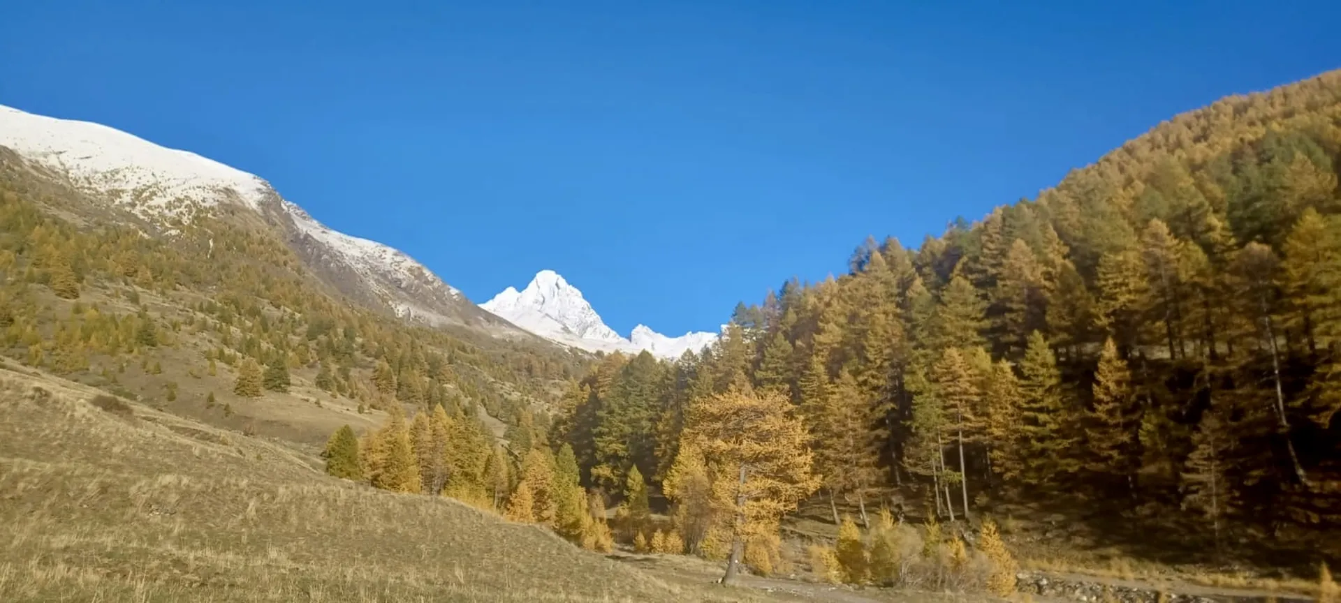 Paysage montagne 