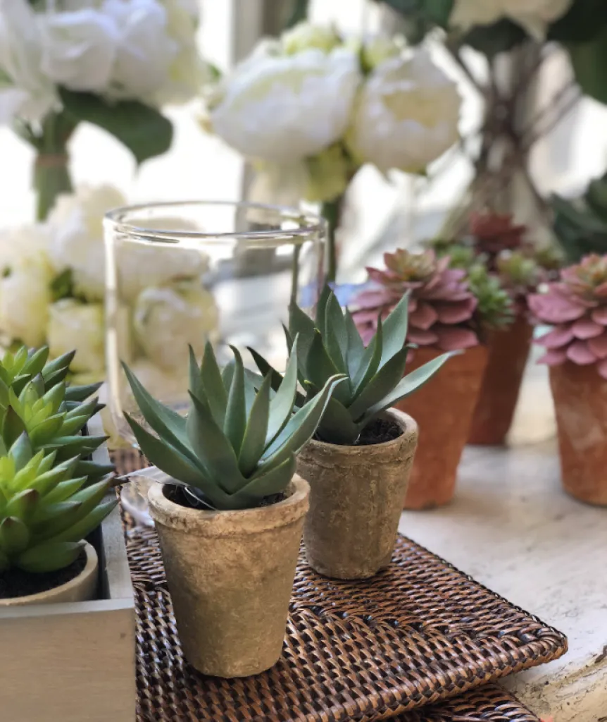 La nouvelle collection Lou de Castellane chez Sacha le Concept Store du Luberon à Ménerbes 