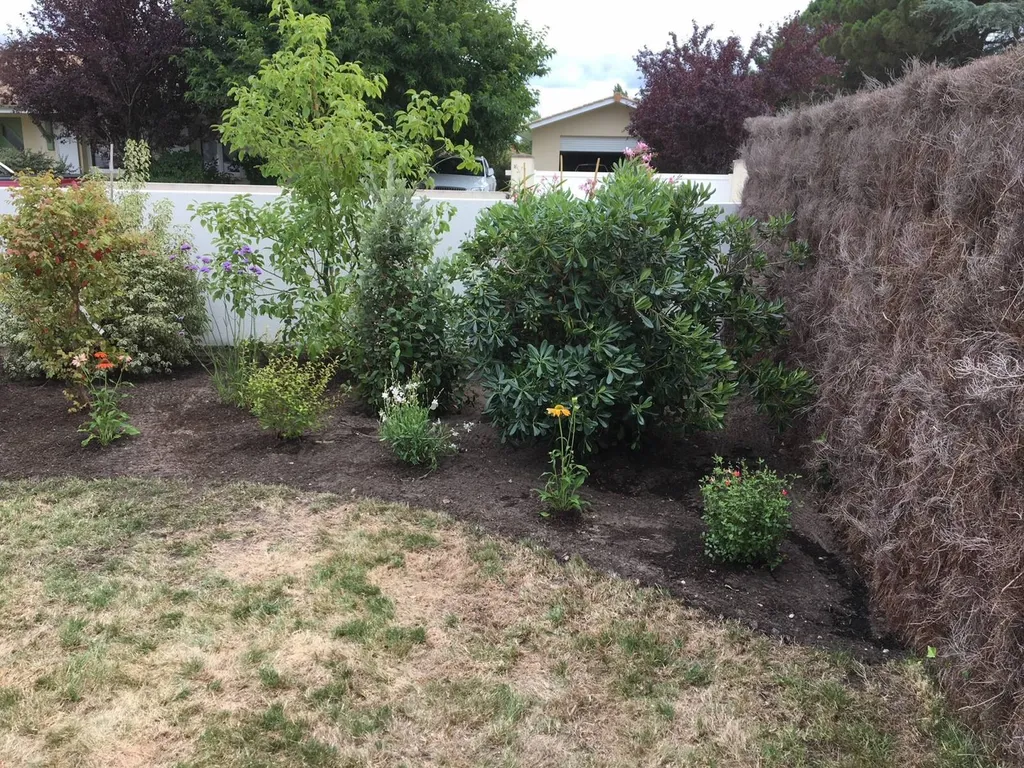 Aménagement professionnel d’un jardin esthétique avec des arbustes et des vivaces grâce à votre paysagiste près de Biscarrosse