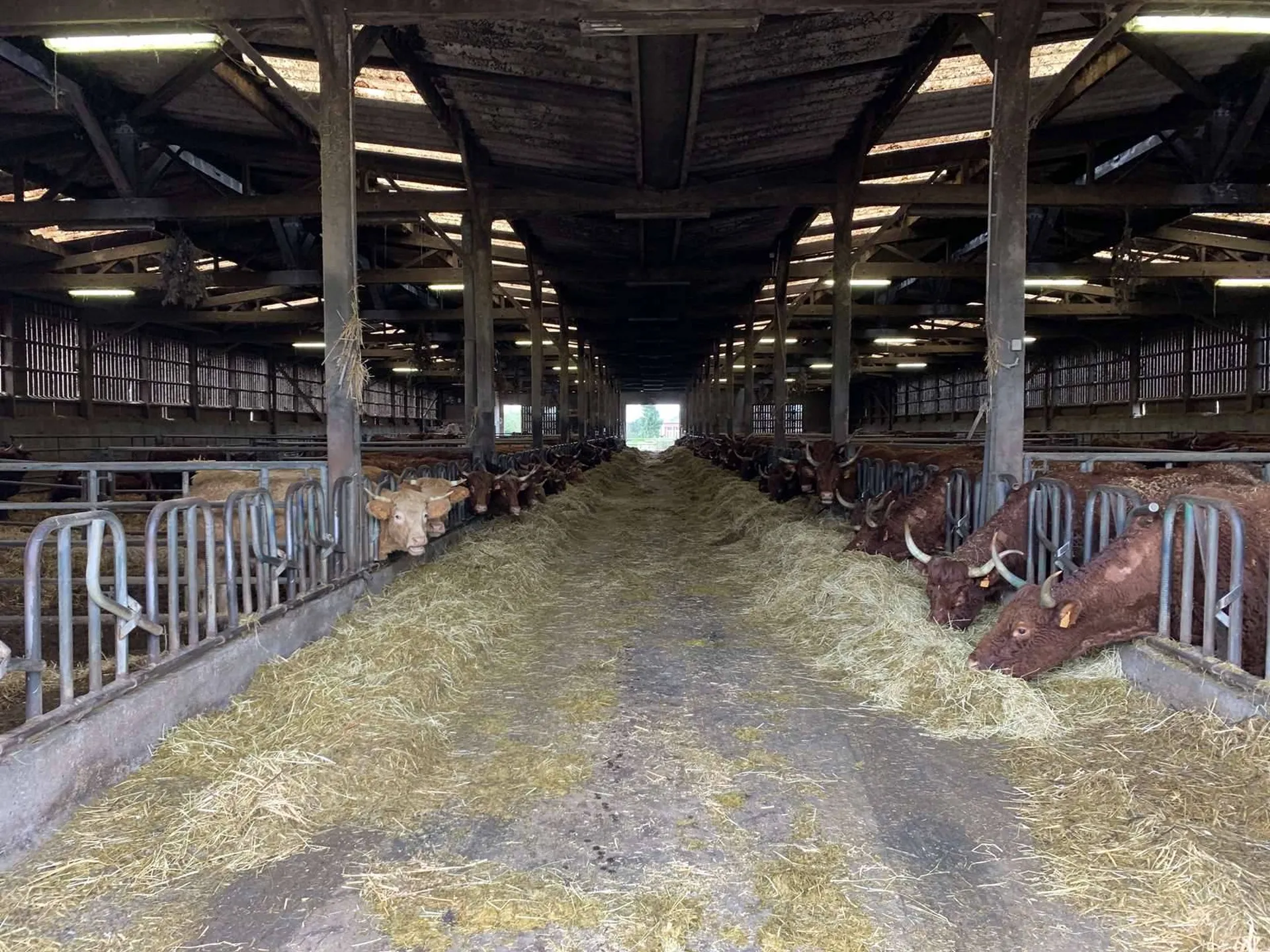 EN EXCLUSIVITE, l'AGENCE TERRES ET DEMEURES DE NORMANDIE à LISIEUX 14100 - 41 Avenue Victor HUGO vous propose d'ACQUERIR cette exploitation agricole d'une surface de 167 ha, actuellement en élevage de bovins allaitants, et pommiers à cidre, située da