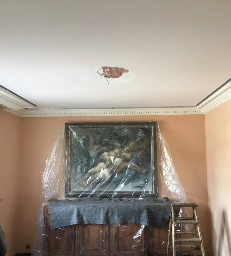 Séjour / Salon : plafond tendu blanc mat et corniches plâtre périphériques à Rebigue - Plafonds Tendus Occitans Toulouse