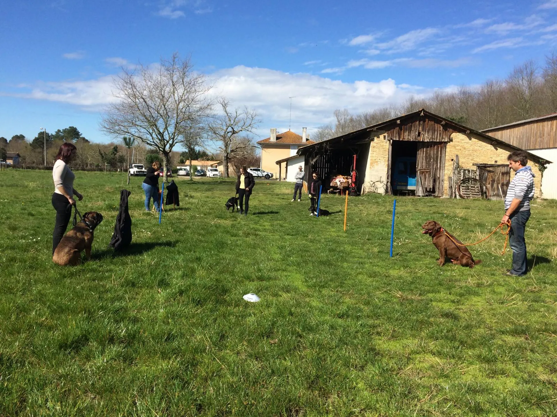 Initiation à l'agility, /ou treibbal qui est un sport canin proposé comme activité ludique sur Pessac ou Biganos