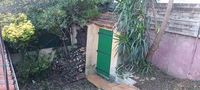 Défrichage pour travaux. 