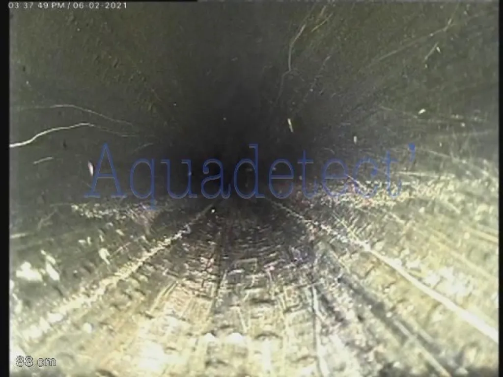 Nos prestations sur le secteur deHyères les Palmiers près de La Londe