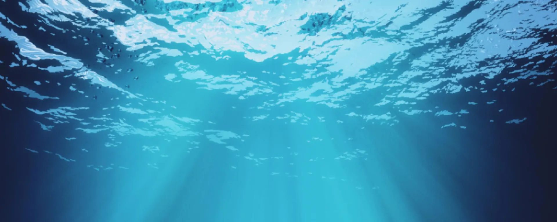 Formulaire de contact C'Lyne & Sens (Vannes, Bretagne et Centre Val de Loire) : sortir de l'isolement, une passerelle vers plus de clarté, d’équilibre et de sérénité pour les Artisans et Dirigeants du BTP