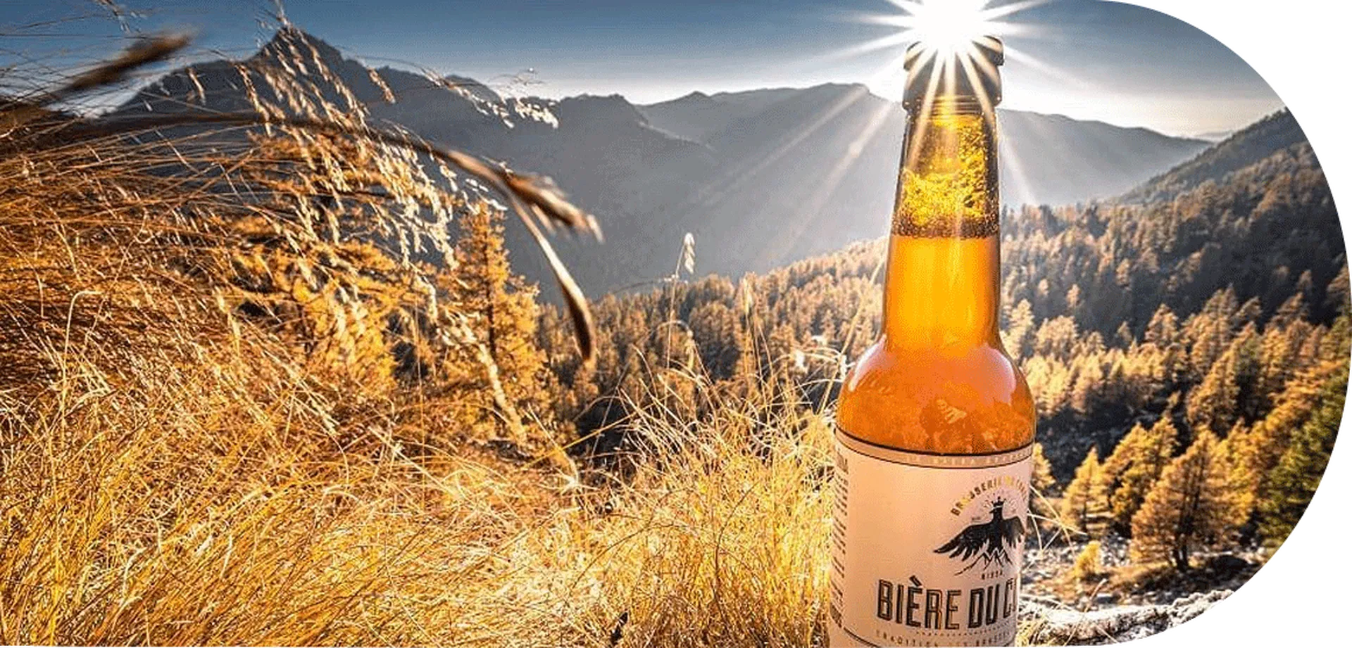 Chronique de la semaine 28 : La bière du comté, La bière phare de la Côte d'Azur