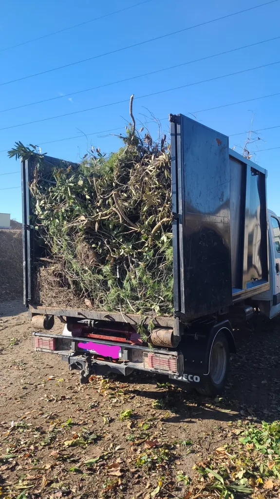 Location benne DIB 12m3 à Vidauban vers Draguignan : Capacité optimale pour débarras de maison literie, électroménager hors d'usage et bois de menuiserie.