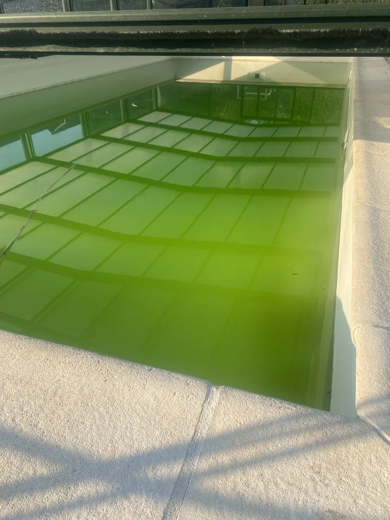 Savoir rattraper une eau de bassin verte à Avignon près de Le Pontet (84) : Réalisez un traitement choc efficace pour sauver votre baignade rapidement