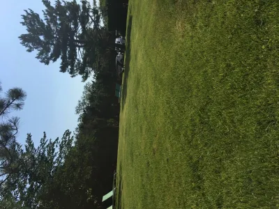 Tonte  de pelouse chez un particulier