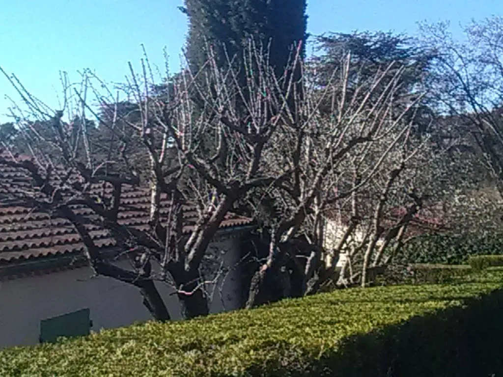 Nos prestations sur le secteur deà Bouc-Bel-Air proche Cabriès 
