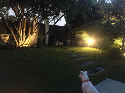 Installation d'éclairage dans un jardin dans le Vaucluse