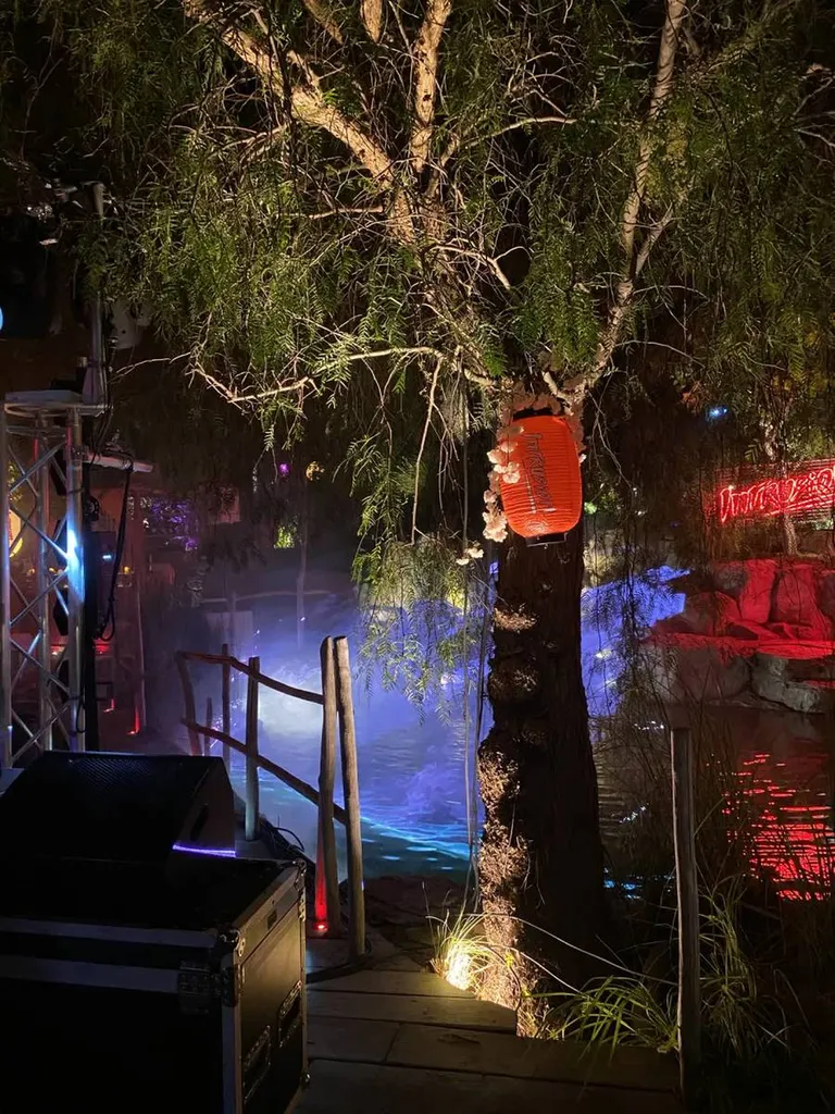 Prestation sonorisation et lumière soirée intrusion Saint Tropez Var 83