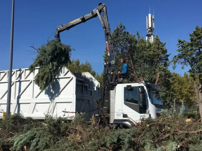 Élagage près des lignes électriques dans le Vaucluse, par élagueurs professionnels à Avignon