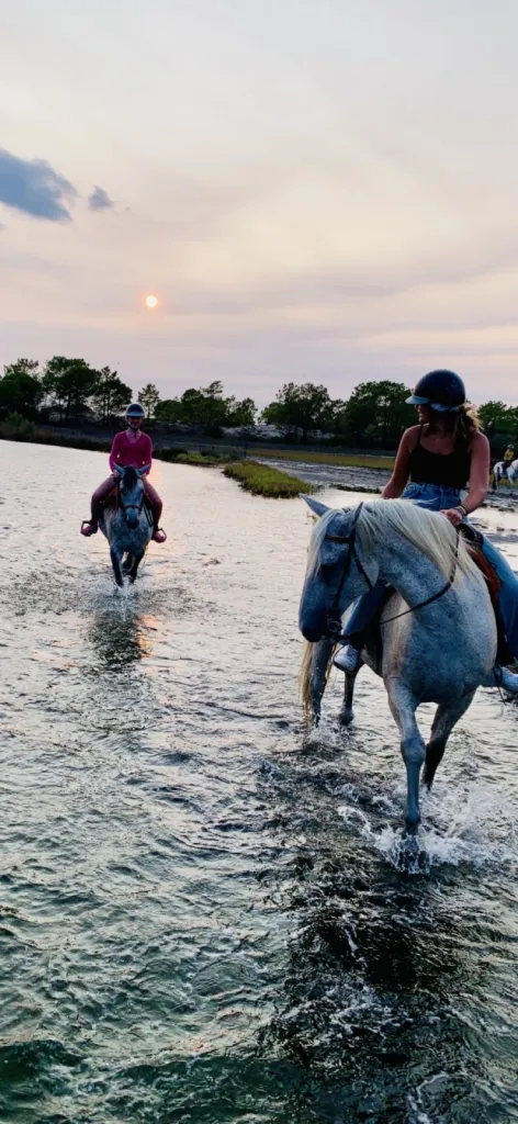 Balade à  cheval découverte de 1 heure dans les marécages de Camargue