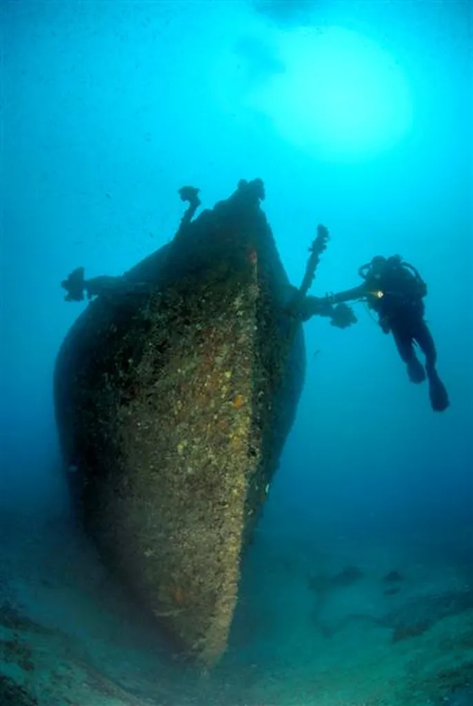 Découvrez European Diving School, votre clubs de plongée à Saint-Tropez et Hyères !