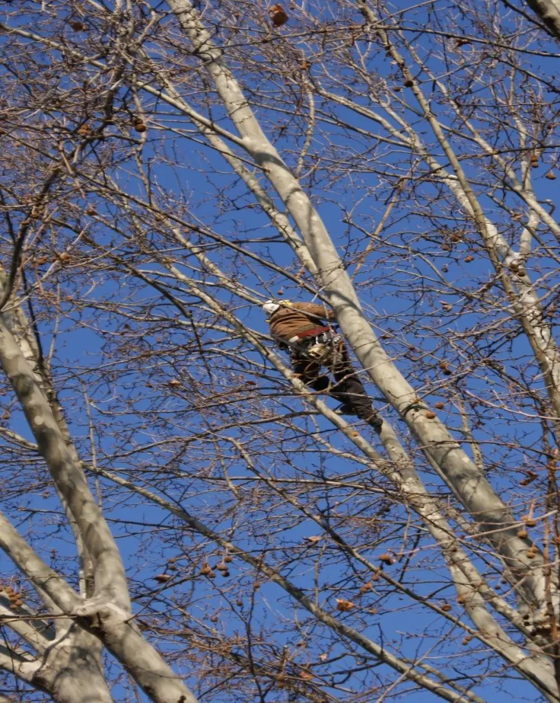 Nos prestations sur le secteur deOrange 84