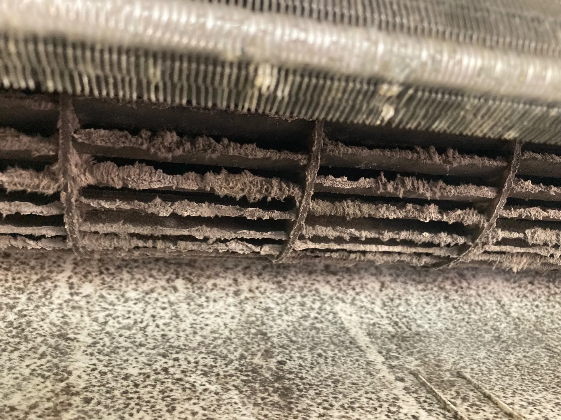 Turbine de climatisation réversible DAIKIN avant entretien – présence importante de moisissures