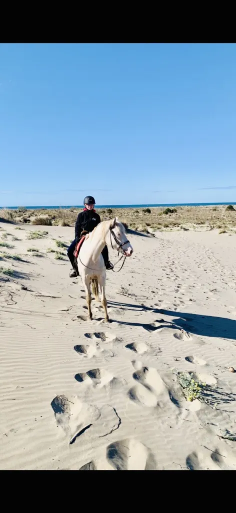 balade cheval bord de mer Le Grau du ROi
