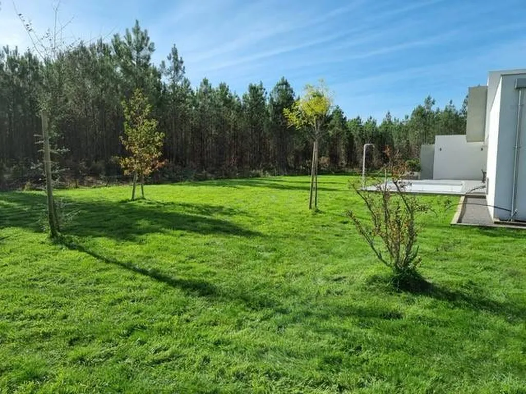 Scarifier un gazon pour un espace vert situé près de Biscarrosse