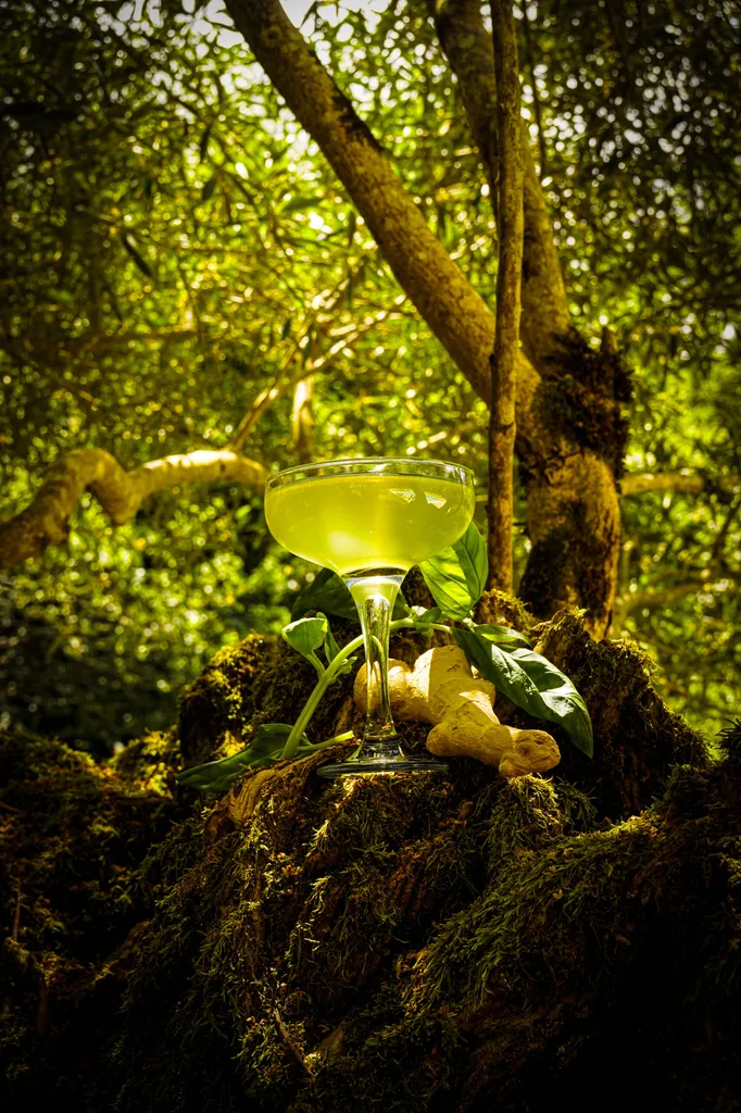 Shooting photo pour une carte d'un bar éphémère à Montauban