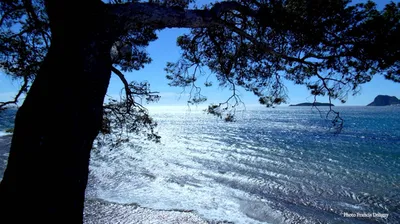 Réserver mon chauffeur privé VTC entre l'aéroport de Marignane et Saint-cyr-sur-mer